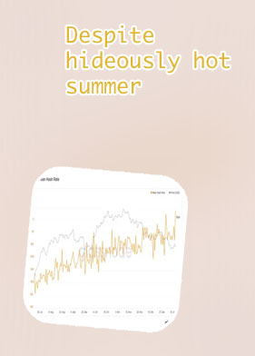 Bitcoin hash rate