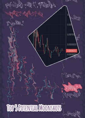 Moonshot crypto price